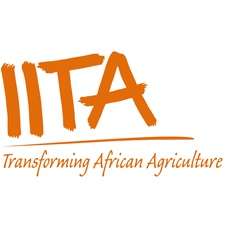 The International Institute of Tropical Agriculture (IITA)