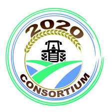 2020 Consortium Sierra Leone Limited