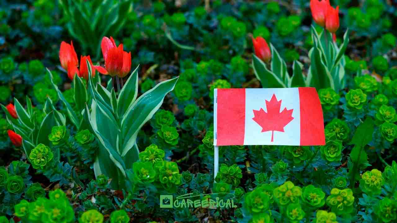 Canada Farm Jobs With Visa Sponsorship for Sierra Leoneans in 2026 What Nobody Tells You Before Applying